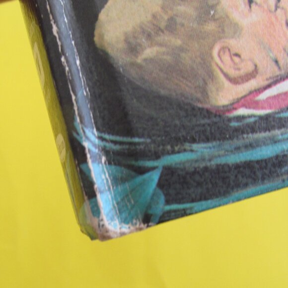 Vintage Lassie and the Mystery at Blackberry Bog book 1956 - Picture 8 of 9